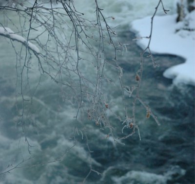 &copy; Y&ouml;vi&ouml;