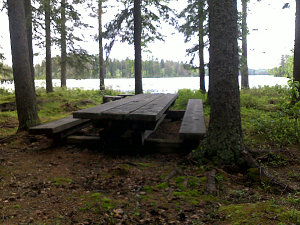 Kuopion karhujuhla