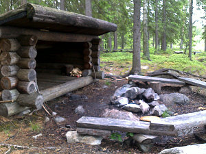 Kuopion karhujuhla