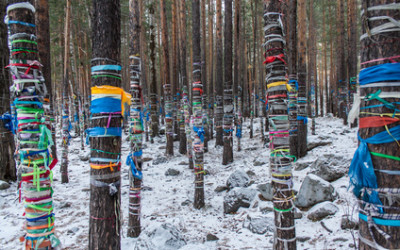 Myyttien maailmankuva eli loitsujen kielessä – Haastattelussa Anna-Leena Siikala