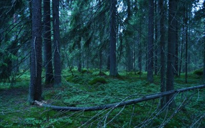 Suomi jälleen mukana luonnonmukaisten pyhien paikkojen kuvakilpailussa