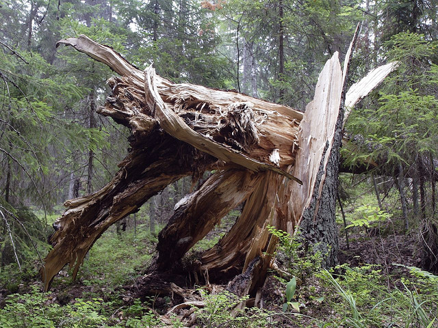 Eräkulttuuri paikannimissä