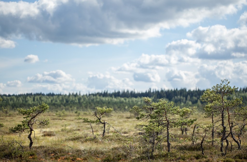 Suo kansanperinteessä