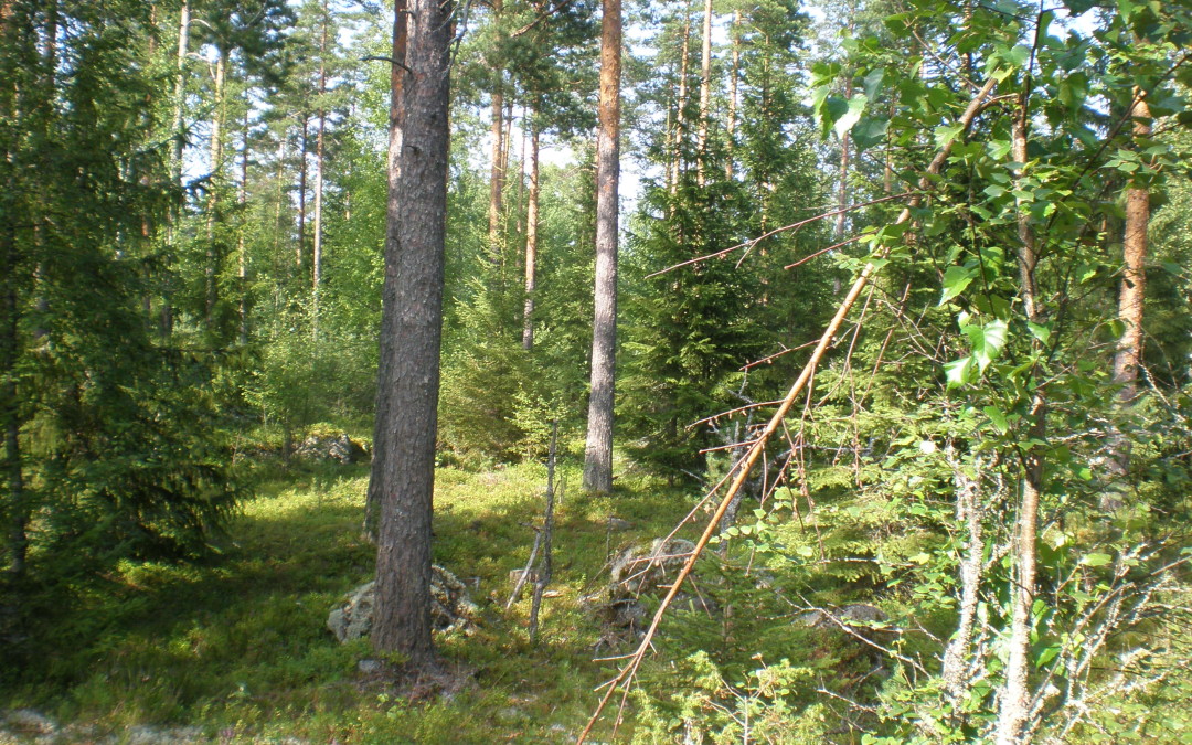 Taivaannaulan retki Lempäälään 13.4.2014