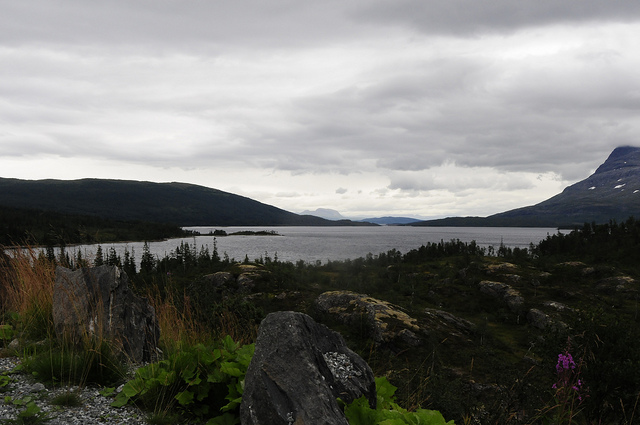 Saamelainen kulttuurimaisema väliinputoajan asemassa