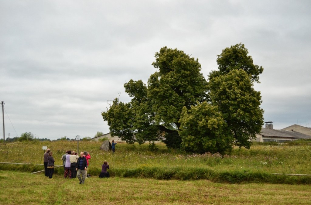 Maavallan Kodalle valittiin uusi johto