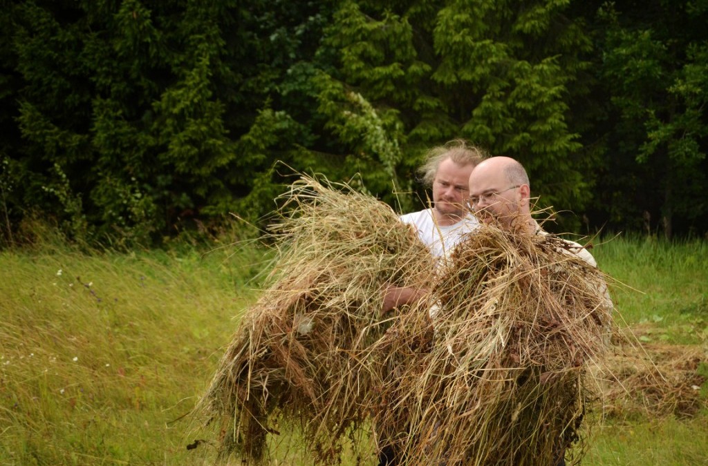 Taivaannaulan vuosi 2013