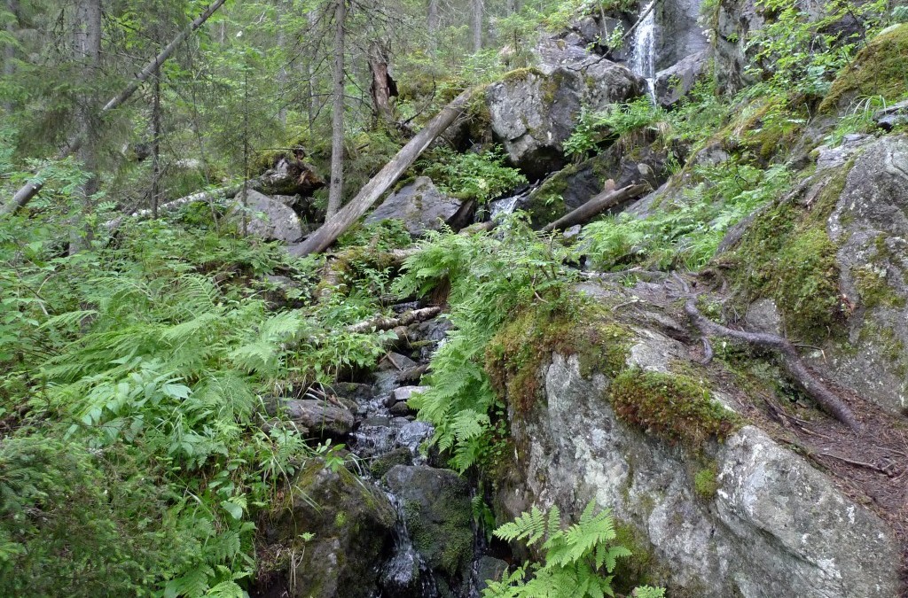 Kansanperinteen luontokohteiden tärvelemistä ei pidä hyväksyä