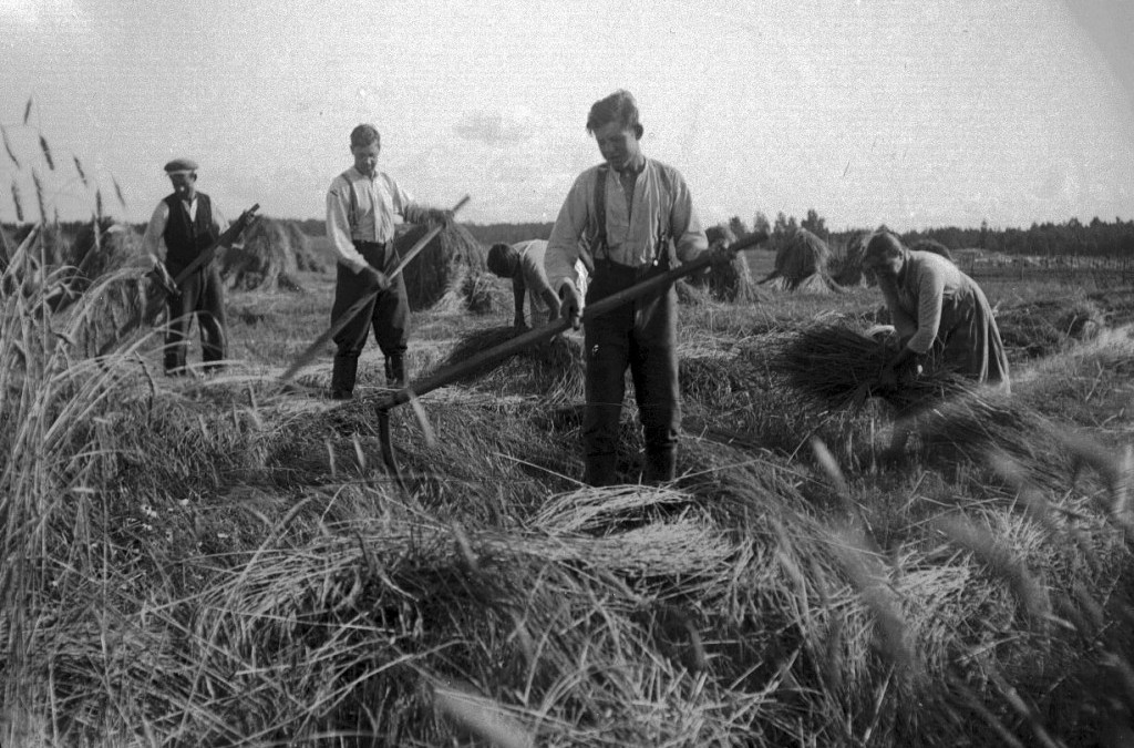 Talkoot, väkilainat ja työnjuhlat