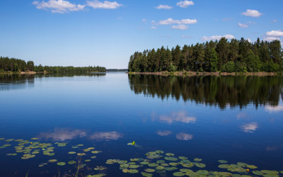 Raakku ja helmestys