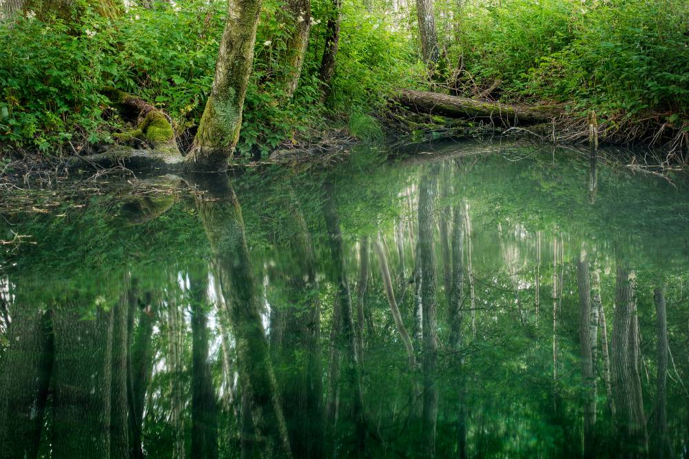 Hiisien kuvakilpailun voittajat valittu