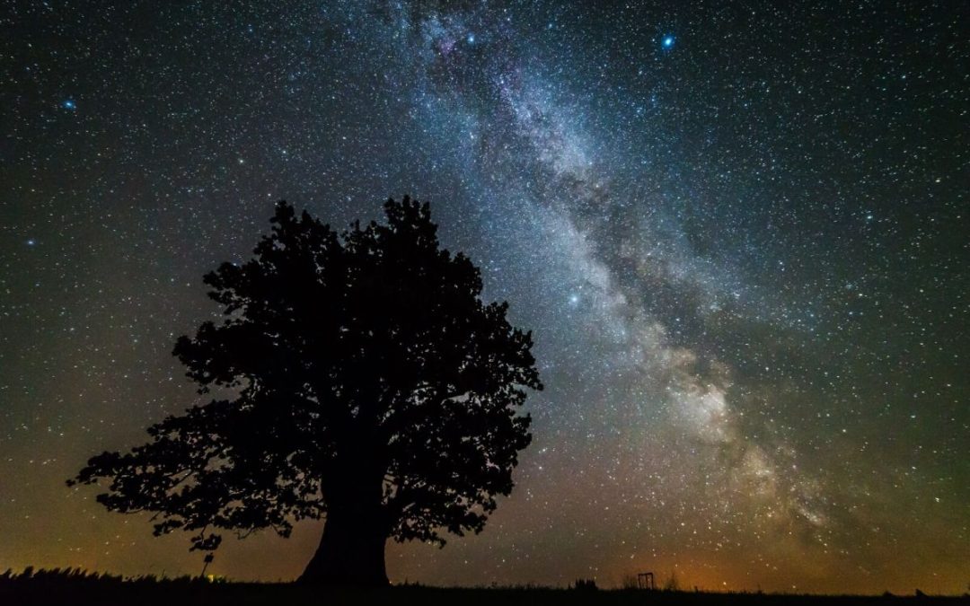 Martin Mark: »Väga vana ja veel vanem»