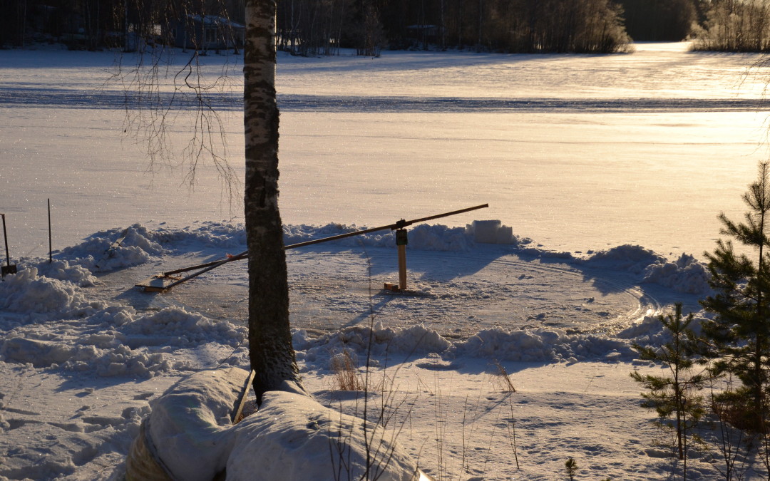 Pirkanmaan laskiainen 2016