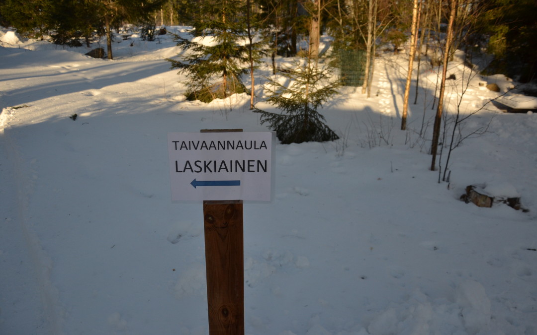 Varsinais-Suomen laskiainen 2016