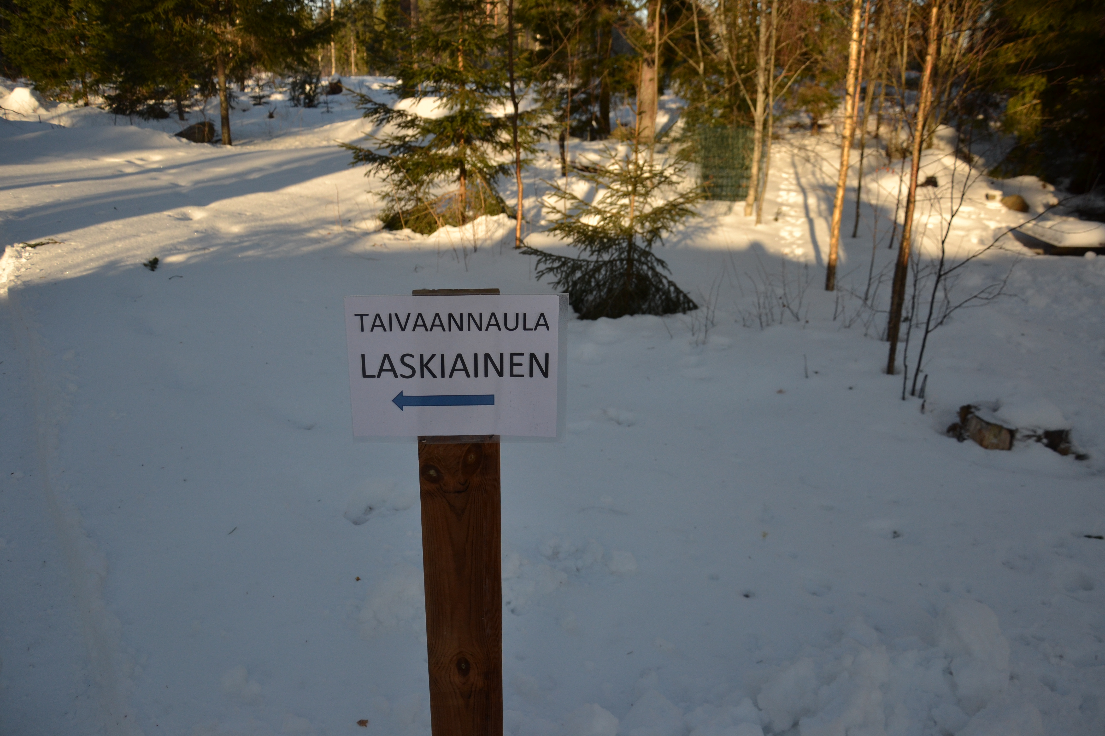 Varsinais-Suomen laskiainen 2016