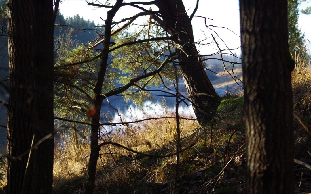 Hiisienpäivän retket 2016