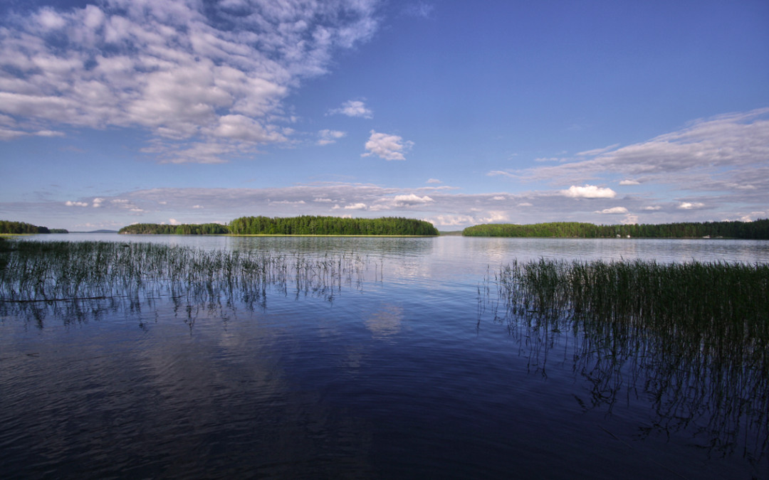 Kesäleiri vie savusaunojen maailmaan