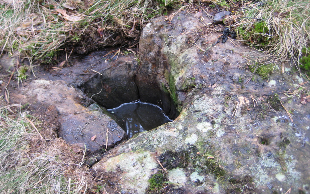 Kuvia hiisienpäivän retkiltä