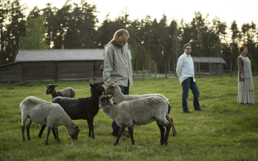 Uuden hallituksen kokoonpano 2016-2017