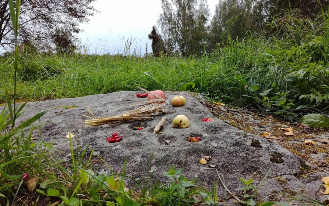 Kuvia Sääksmäen paikallistapaamisesta