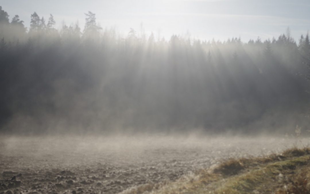 Hiisitilaisuus Hämeenkyrössä