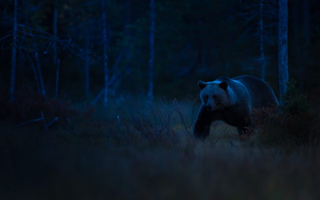 Martti Kitusen uskonto