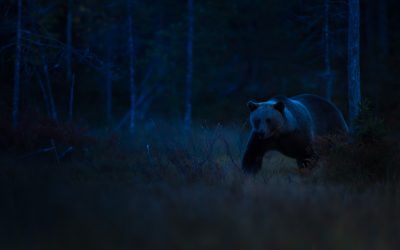 Martti Kitusen uskonto