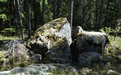Hiisien maastokartoitukset alkavat – ennätysmäärä uusia kohteita
