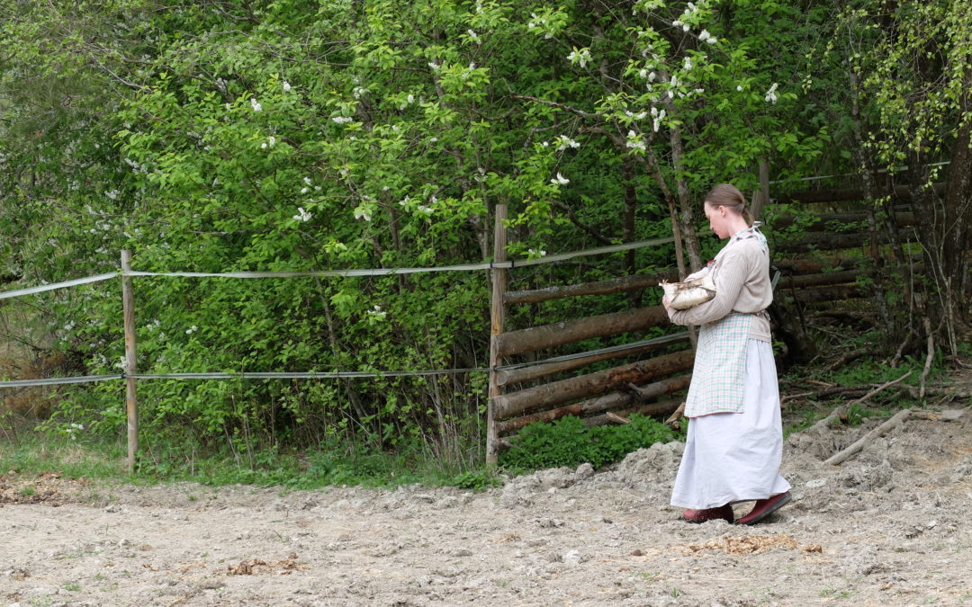 Kuvia toukojuhlasta Tuomarlan tilalta