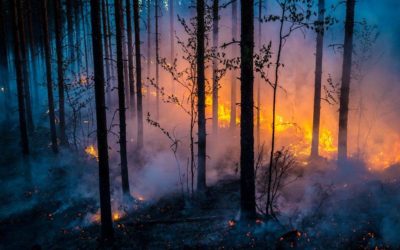 Kaski on tulen ja maan liitto