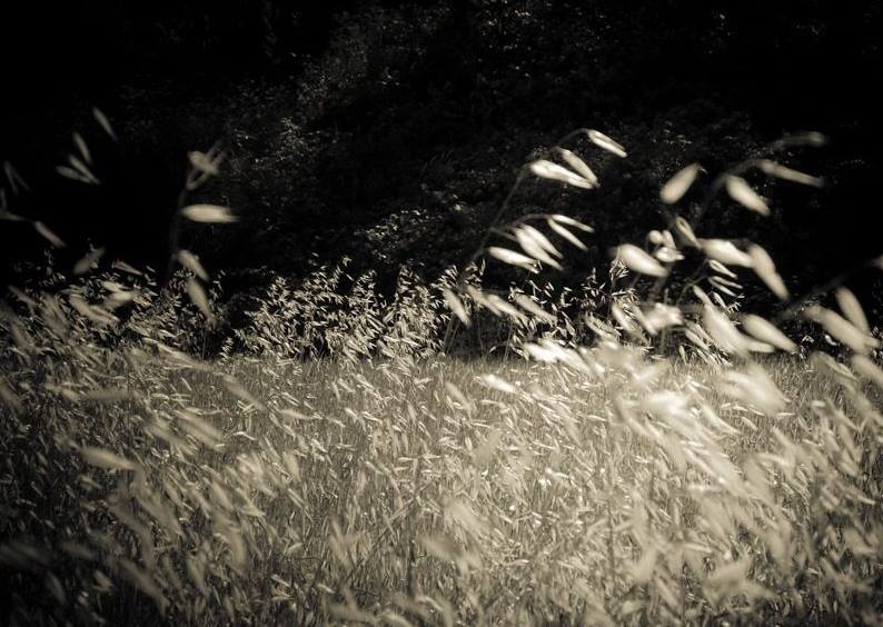 Vainajat tuulispäänä