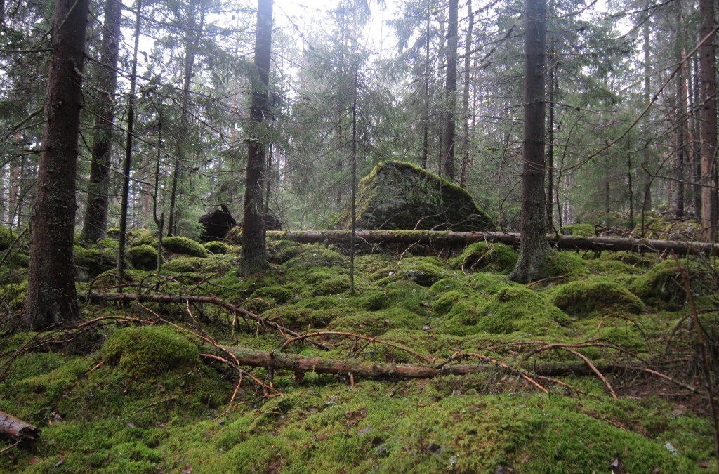 Suomen ensimmäisen hiisikyltin pystytys Pirkkalassa