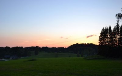 Kuvia heinäkuun matkalta Virosta