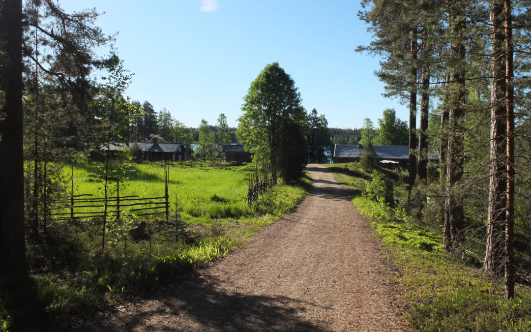 ”Pitkäkestoinen maasuhde kantaa hedelmää” – Hallituksen ajatuksia
