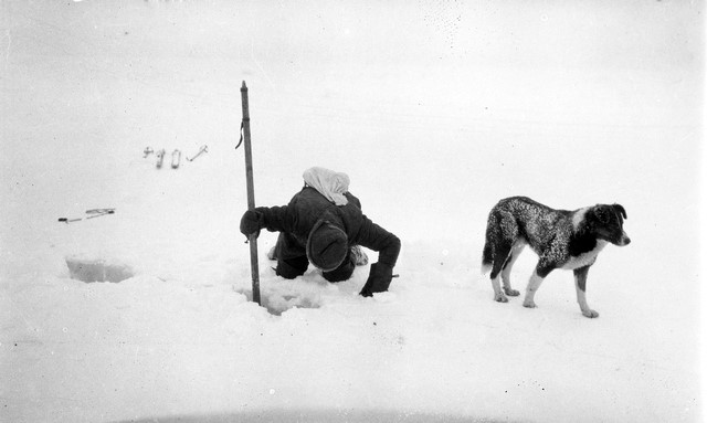 Hylkeenpyynnin perinteitä