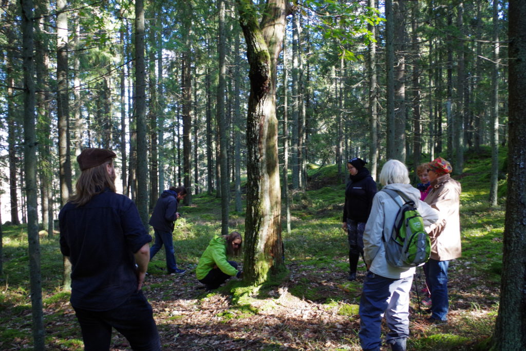 Seminaarissa esitettiin entistä tiivimpää yhteistyötä Suomen ja Viron tutkijoiden välillä.