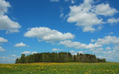 Ahto Kaasikin suomennettu esitys saatavilla