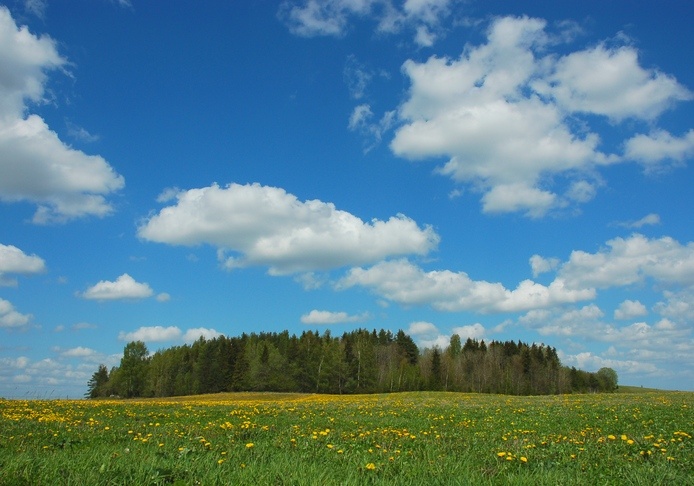 Ahto Kaasikin suomennettu esitys saatavilla