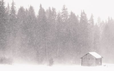 Rauhaa ja terveyttä