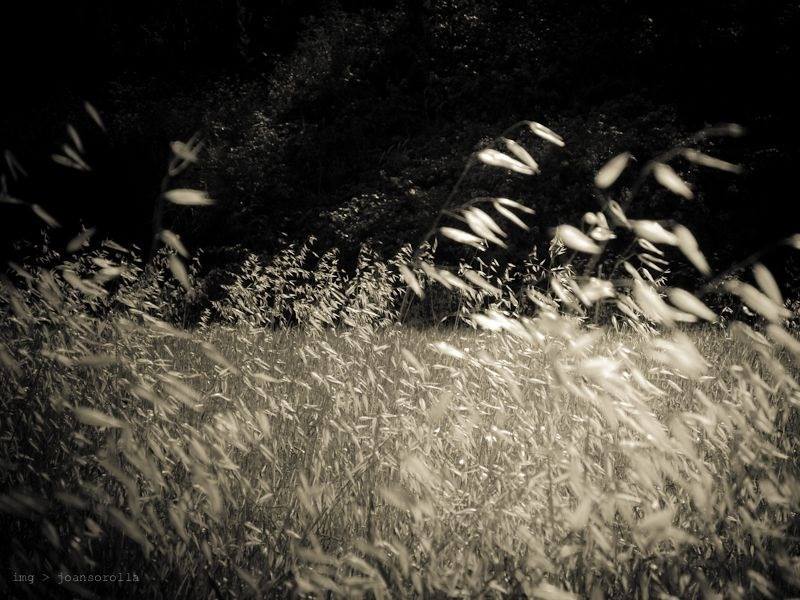 Vainajat tuulispäinä