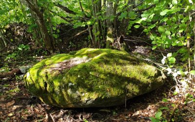 Pyhät luonnonpaikat -valokuvanäyttely Turussa syksyllä 2020