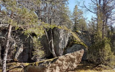 Tule mukaan hiisienpäivän etätapahtumaan