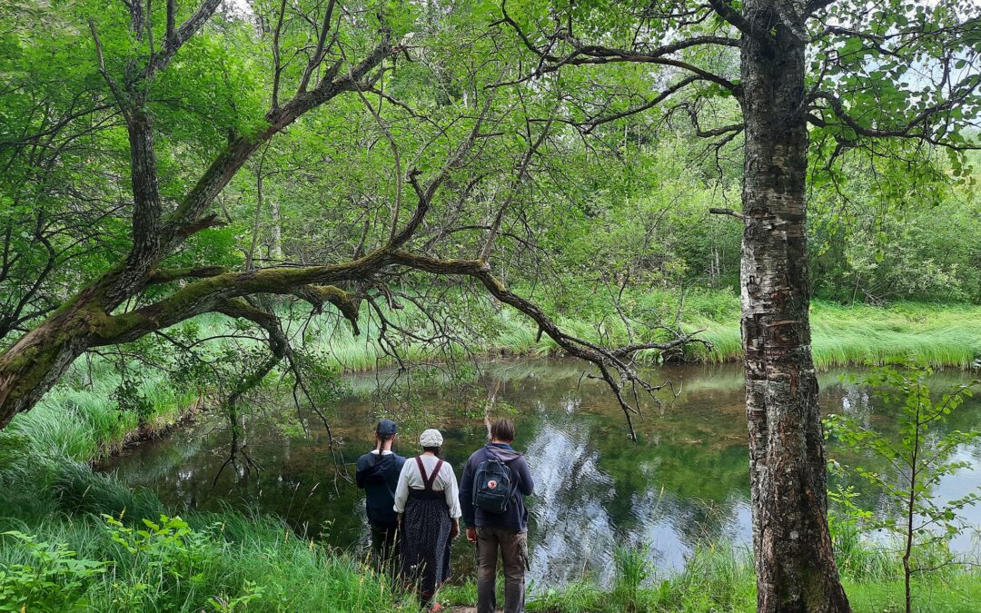 Tunnelmia kesäleiriltä 2022