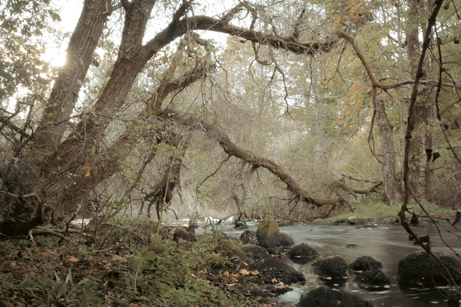 Hiisien kuvakilpailun voittajat selvinneet!